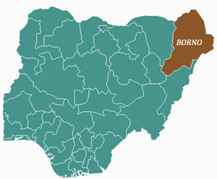 How Boko Haram landmine killed seven Borno hunters, injures 19-TopNaija.ng