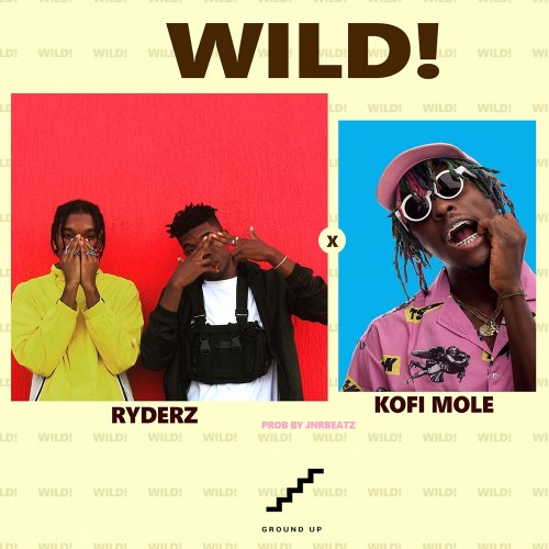 Download mp3 Ryderz ft Kofi Mole Wild
