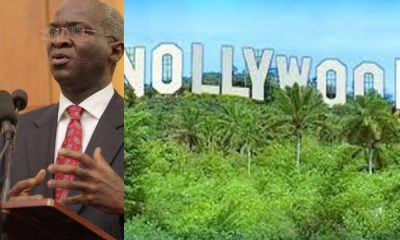 Fashola blasts Nollywood topnaija