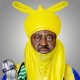 Aminu Ado Bayero topnaija