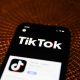 TikTok unveils new feature to assist with job applications