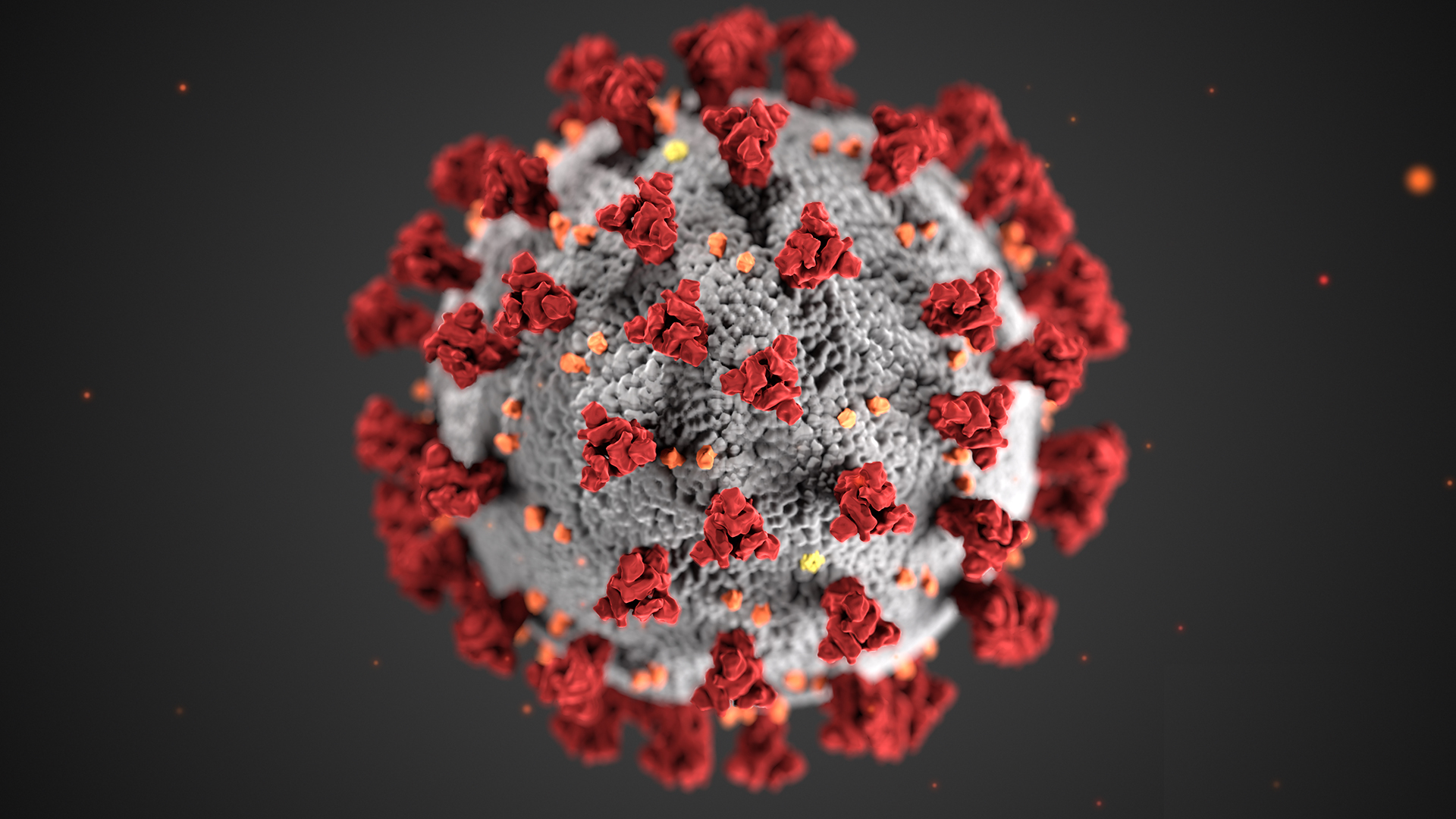 Coronavirus spreads across 19 states and FCT in Nigeria