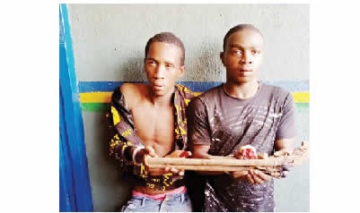 suspected-cultists topnaija.ng