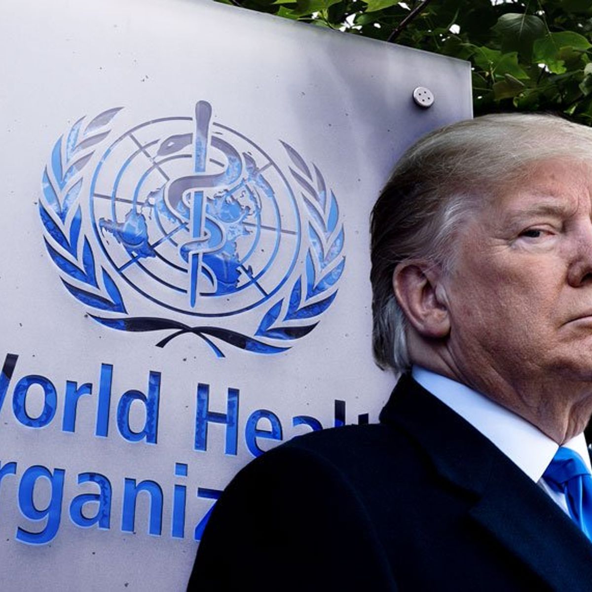 Donald Trump world health organization topnaija.ng
