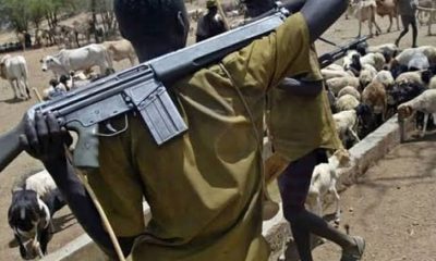 Suspected herdsmen kill two vigilantes in Delta