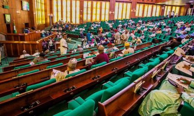 House of Reps approves Buhari's N850bn loan