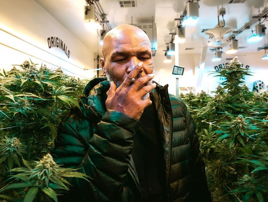 I spend $40,000 on weed monthly - Mike Tyson