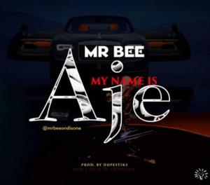 Mr_Bee_-_My_Name_Is_Aje-