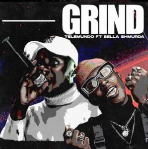 Telemundo – Grind Ft. Bella Shmurda