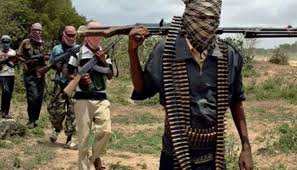 Gunmen kill one in Adamawa village attack-TopNaija.ng