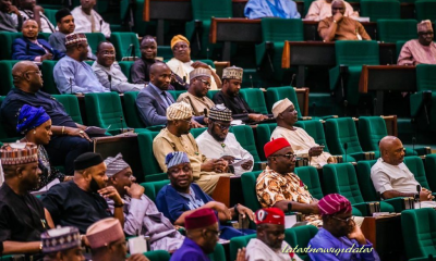 We don't legislate for states - House of Reps reply governors