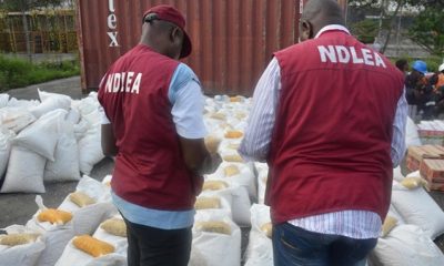 8 drug traffickers attested in Niger-TopNaija.ng