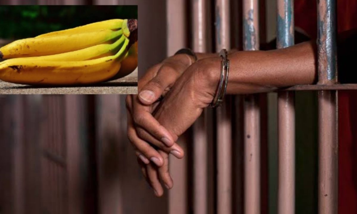 Osun: 35-year-old sentenced to 7-months imprisonment for human trafficking -TopNaija.ng
