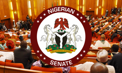 Senate confirms Sani Adam as INEC Commissioner