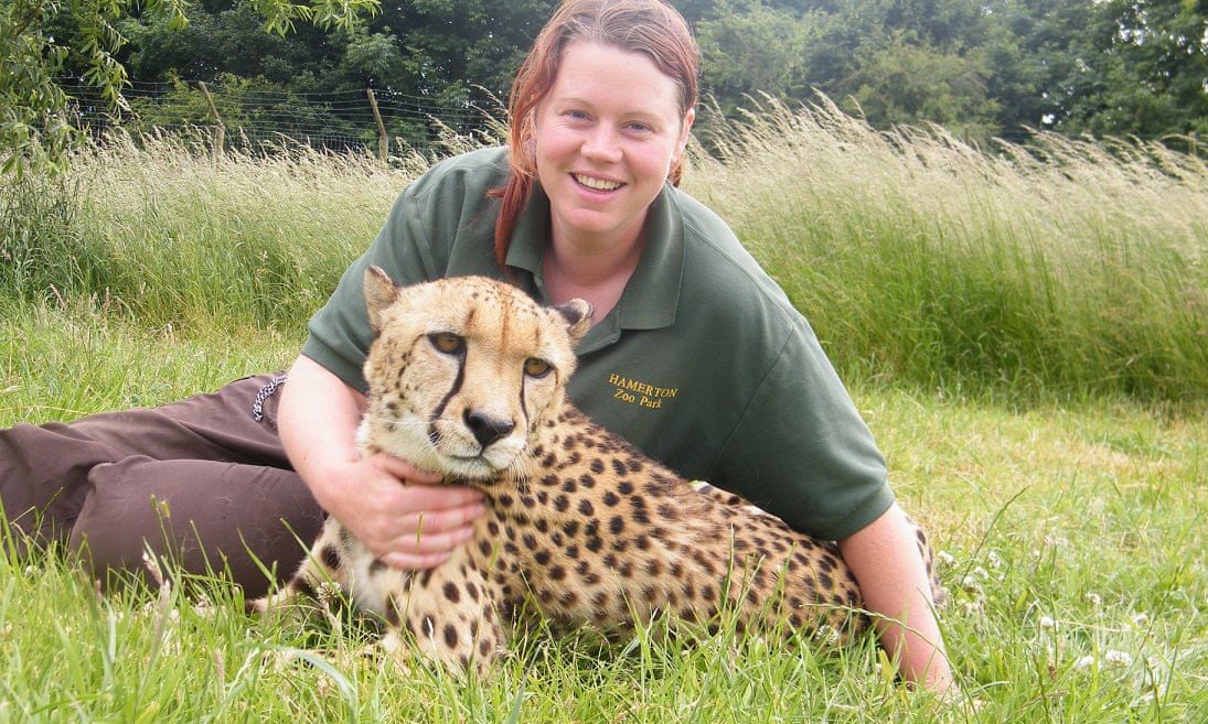 Tiger kills female zookeeper topnaija.ng