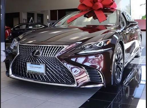 Lady busted for stealing picture of Lexus 2020 to celebrate 'hubby's gift' topnaija.ng