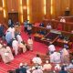 Senate confirms Akinkugbe, Adesina, 37 others as ambassadors topnaija.ng