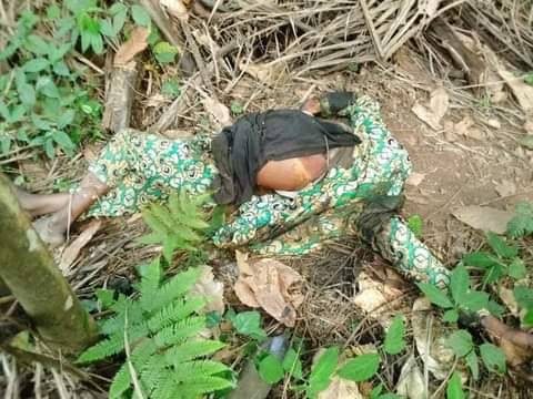 How Suspected ritualists beheaded security guard in Ondo, remove vital organs-TopNaija.ng