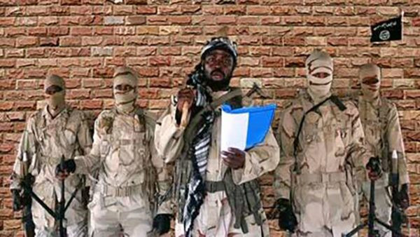 Borno: Boko Haram reportedly beheads 43 farmers -TopNaija.ng