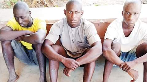 Police arrested three notorious phone snatchers in Minna-TopNaija.ng