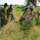 Boko Haram kill soldiers