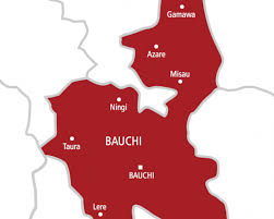 Security outfit arrest sex party organizers in Bauchi-TopNaija.ng