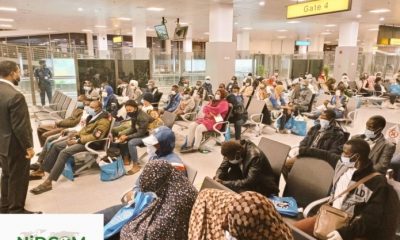 118 Nigerians stranded in Libya arrive in Abuja, says NIDCOM
