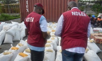 4.5m Lagosians on drugs, Marwa charges NDLEA wipe out cartels