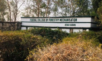 Bandits finally release 27 Kaduna forestry college students