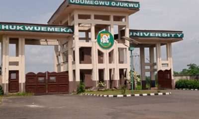 Ojukwu University begins programme in native medicine