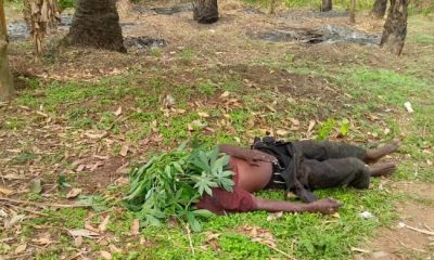 Armed bandits attack Ebonyi communities, hack many to death [GRAPHIC PHOTOS]-TopNaija.ng