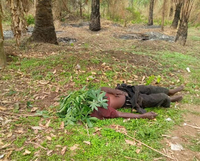 Armed bandits attack Ebonyi communities, hack many to death [GRAPHIC PHOTOS]-TopNaija.ng