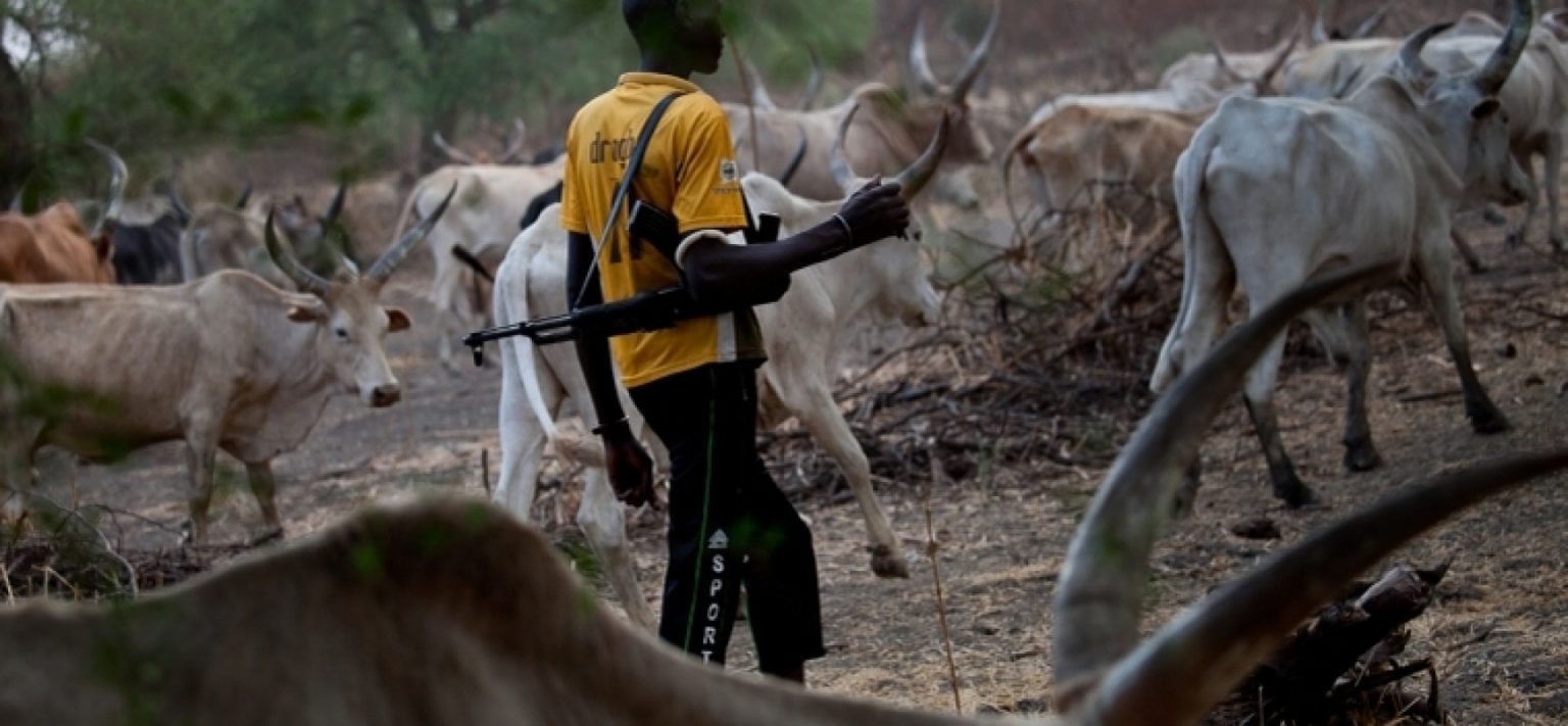Armed bandits kill farmer in Oyo community-TopNaija.ng