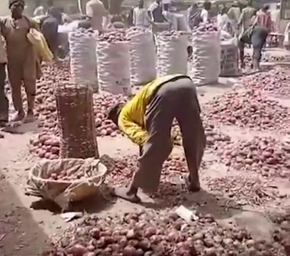 kano onion sellers