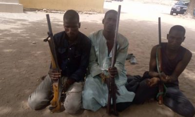Police arrest three suspects for kidnapping and armed robbery in Adamawa-TopNaija.ng