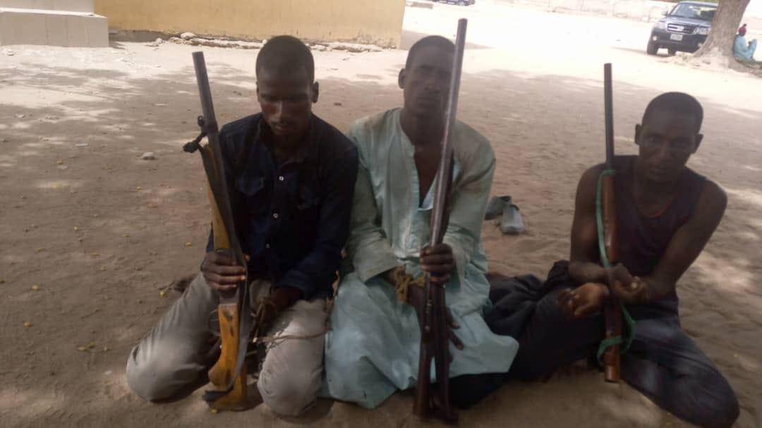 Police arrest three suspects for kidnapping and armed robbery in Adamawa-TopNaija.ng