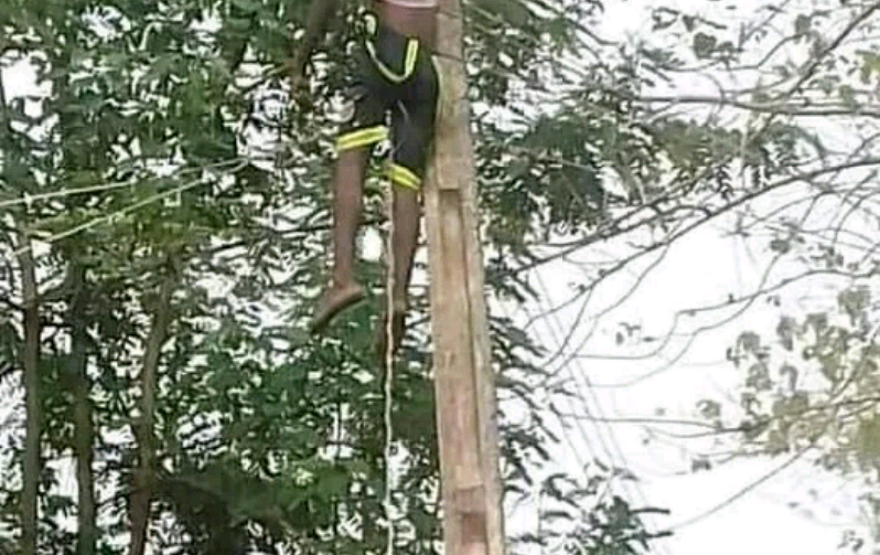 Young Nigerian man electrocuted while reconnecting electricity cable in Benue [PHOTO]-TopNaija.ng