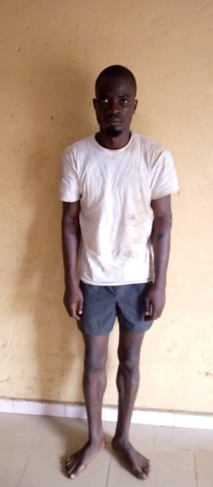 Suspected killer of Anti-cult leader arrested by police in Delta state-TopNaija.ng