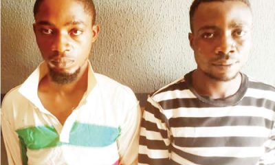 Police arrest suspected cultists for attacking Ogun vigilante-TopNaija.ng