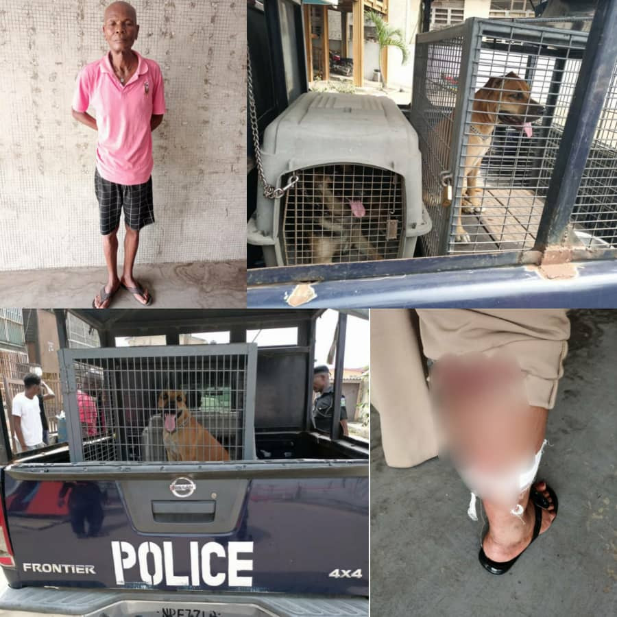 Nigerian man arrested for unleashing his dogs on a female police officer [PHOTOS]-TopNaija.ng