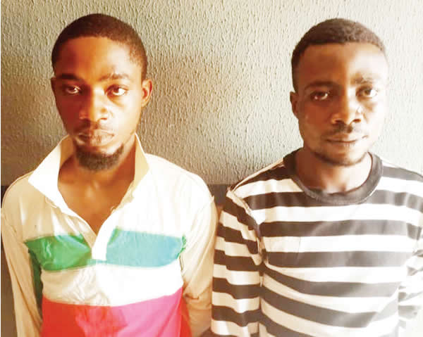 Police arrest suspected cultists for attacking Ogun vigilante-TopNaija.ng