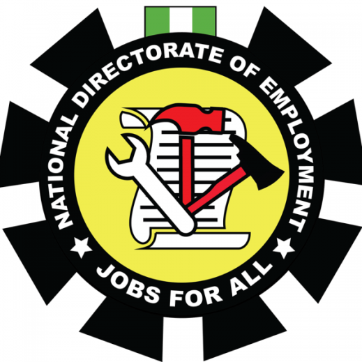 NDE trains youths in Nigeria to address unemployment