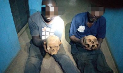 Police arrest two allegedly with human skulls at Muslim cemetery in Kaduna-TopNaija.ng