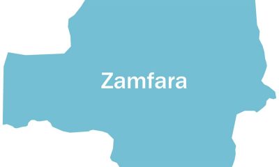 How outlawed Yansakai group killed three herdsmen in Zamfara-TopNaija.ng