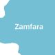 How outlawed Yansakai group killed three herdsmen in Zamfara-TopNaija.ng
