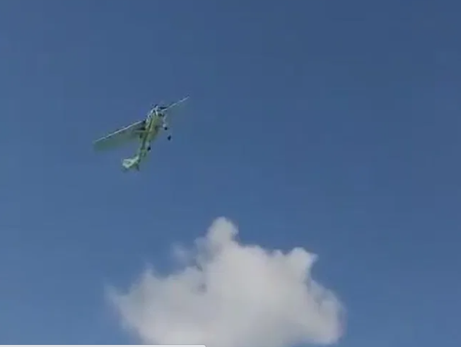 plane crash as gender-reveal stunt goes wrong (video)