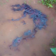 Tragic as 15-year-old girl allegedly gang raped by seven men in Delta-TopNaija.ng