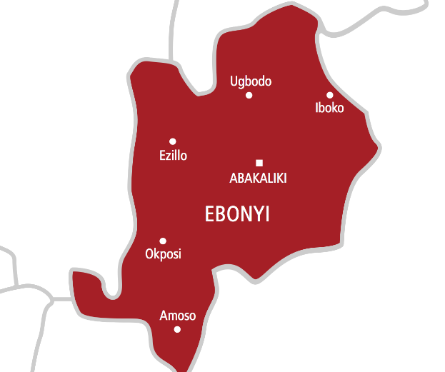 I coordinated attacks on cops, stations, INEC facilities - Ebonyi teenager