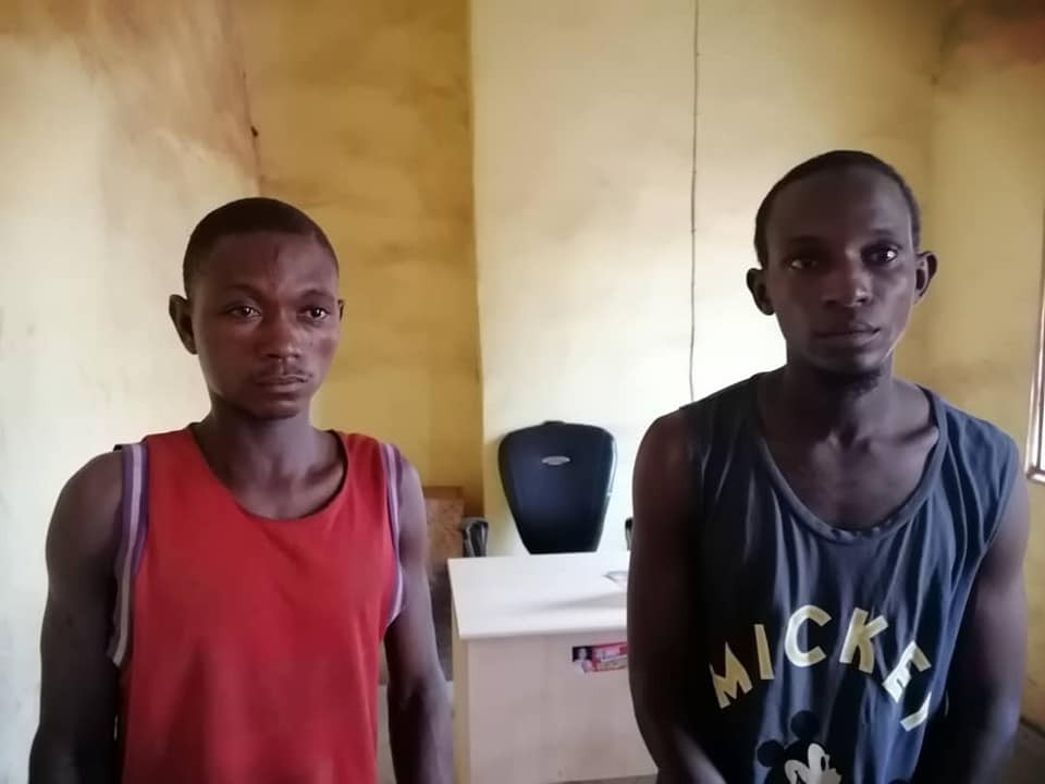 Security outfit arrest two suspected members of notorious kidnap gang in Benue -TopNaija.ng