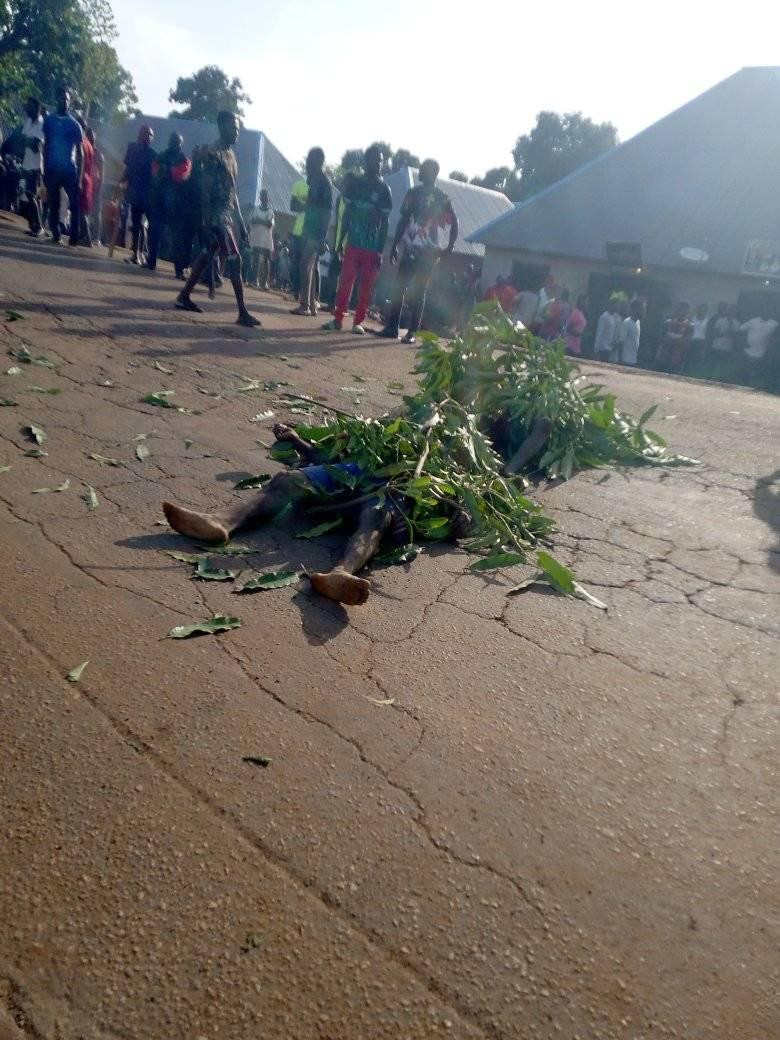 At least two teenagers killed as suspected Fulani herdsmen attack Benue community -TopNaija.ng